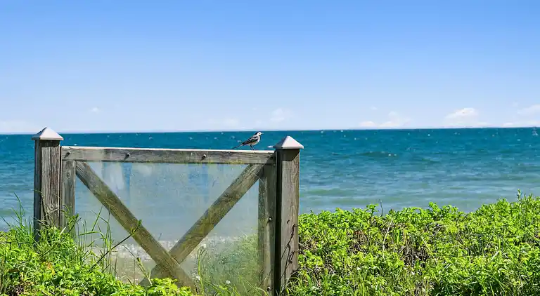 Gemeinsamkeit, Gemütlichkeit und magischer Blick