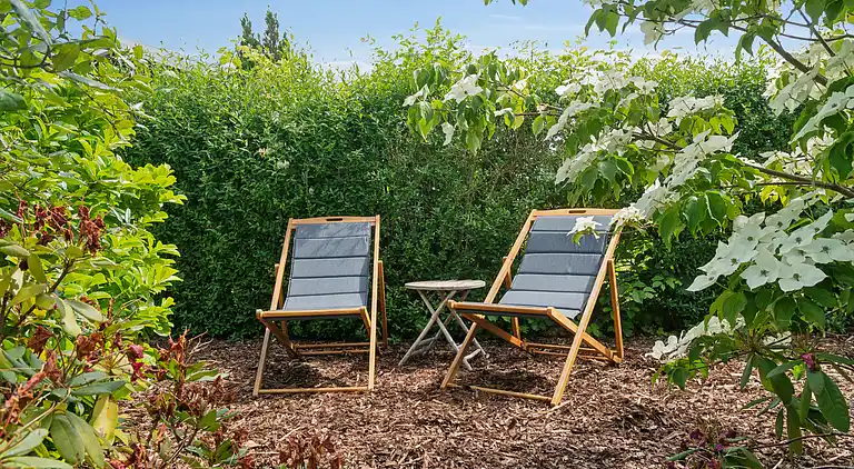 Skønt sommerhus med plads til 8 pers. og 2 hunde