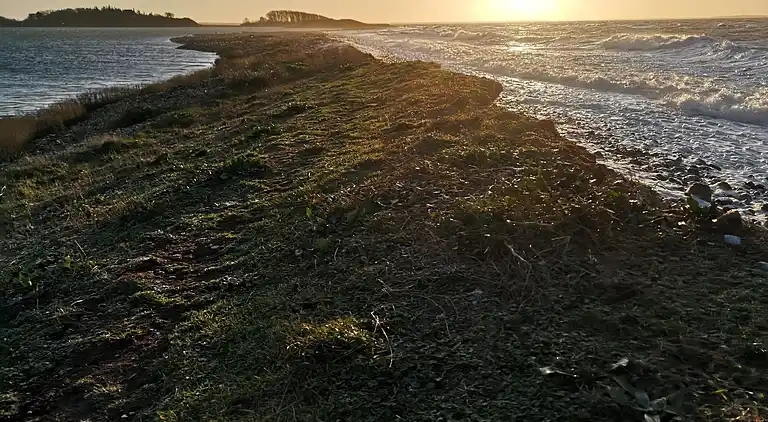 Ferienhaus im schönen Martofte