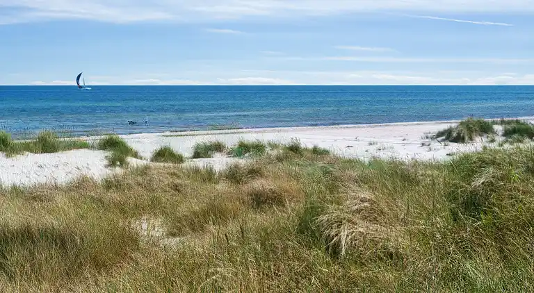 Schönes Sommerhaus mit Sauna und Terrasse