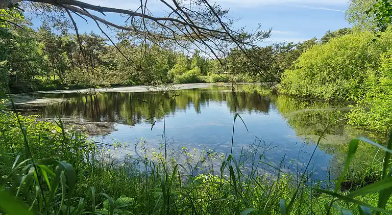 Schönes Sommerhaus mit Sauna und Terrasse