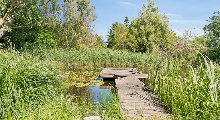 Schönstes Ferienhaus in fantastischer Lage
