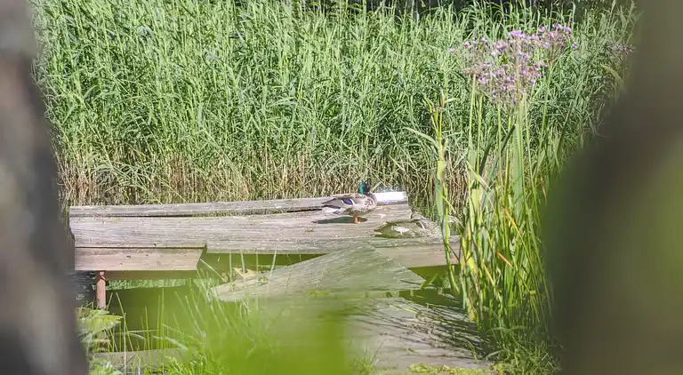 Schönstes Ferienhaus in fantastischer Lage