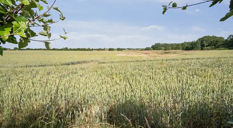 Dejligt sommerhus i Haderslev
