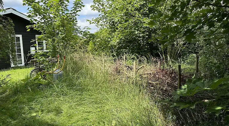 Small cozy summer house near the Isefjord