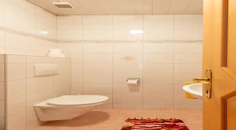 Apartment in Strengen