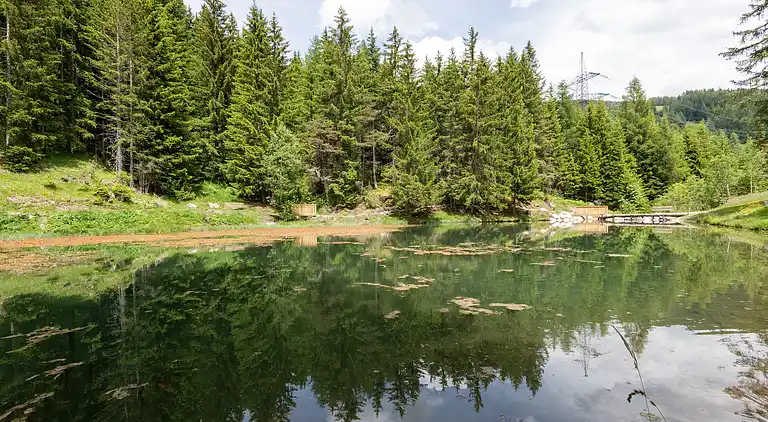 Apartment in Strengen