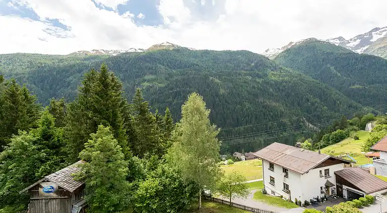 Apartment in Strengen