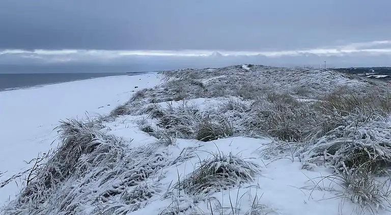 Sommerhus ved Vrist Strand