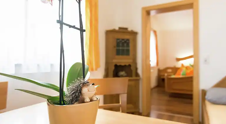 Manor house in Kaprun