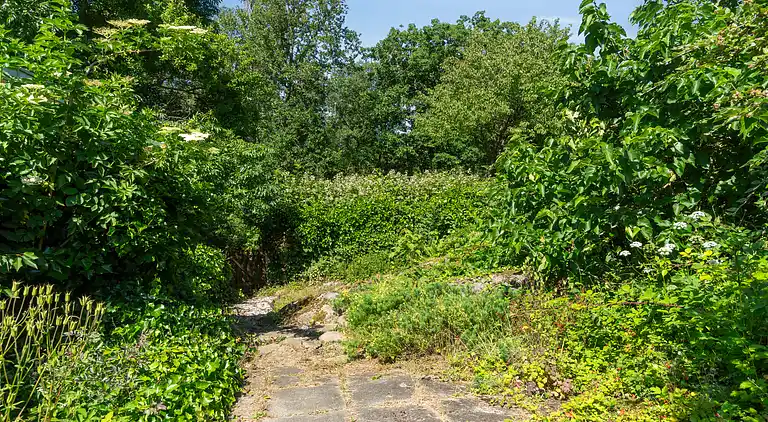 Gemütliches Haus in der Nähe von Wald und Küste