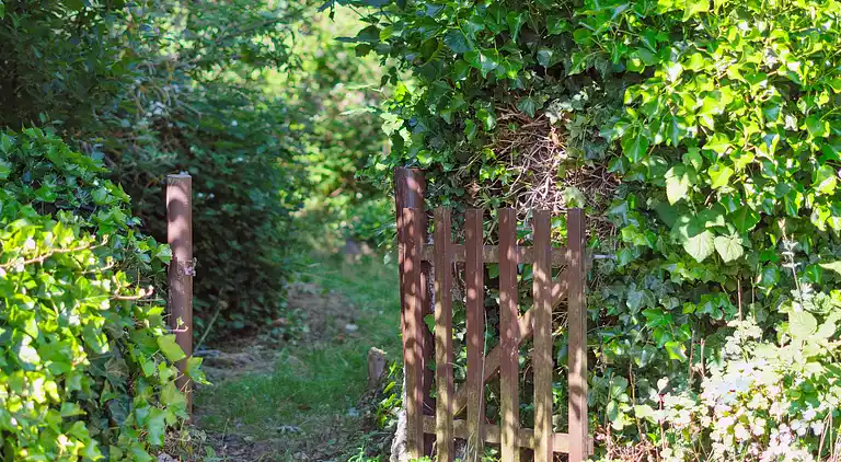 Gemütliches Haus in der Nähe von Wald und Küste