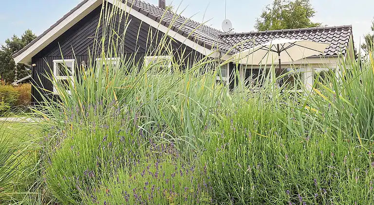 Sommerhus i Væggerløse