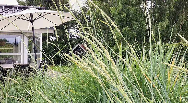 Sommerhus i Væggerløse