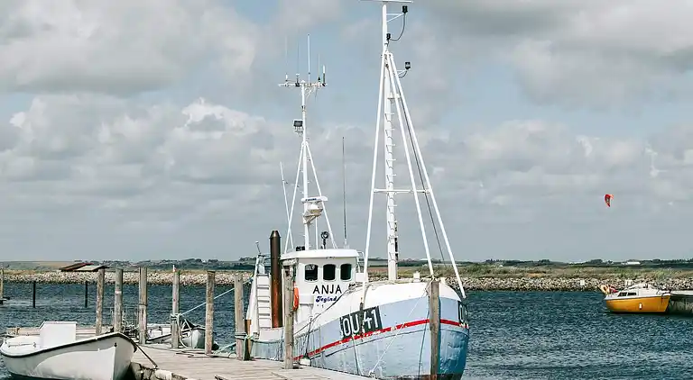 Holiday home in Vinderup