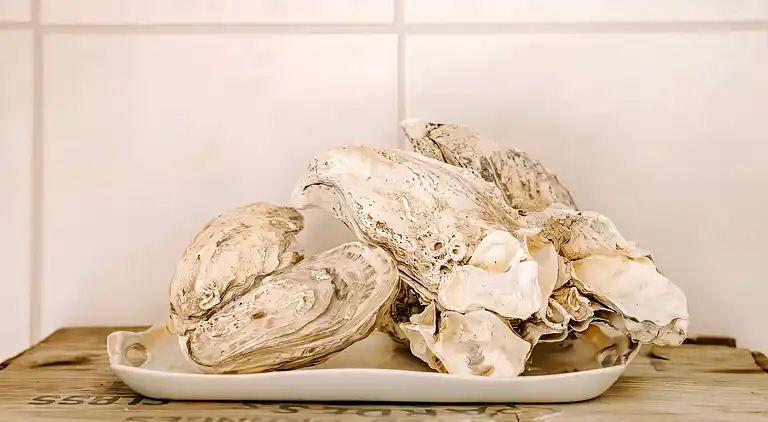 Holiday home in Vinderup