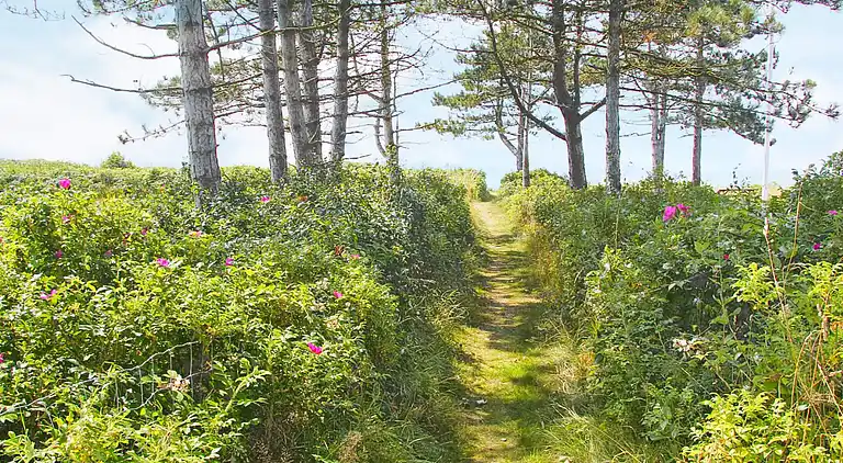 Casa vacanze in Knebel