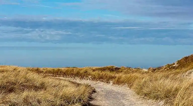 Unik ferielejlighed med udsigt i Skagen