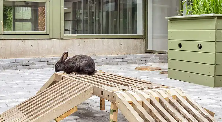 A-3½ room,renovated,close to beach