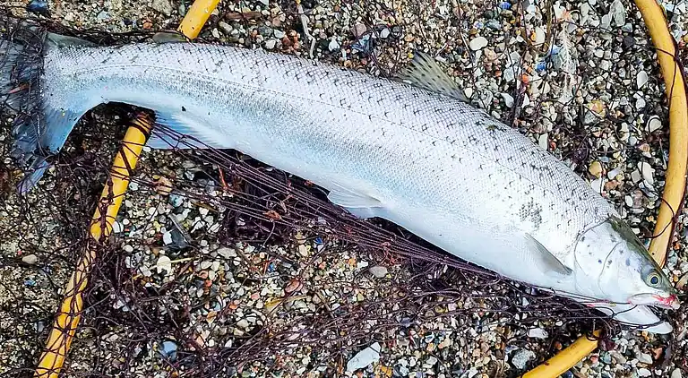 Holiday home in Nordborg