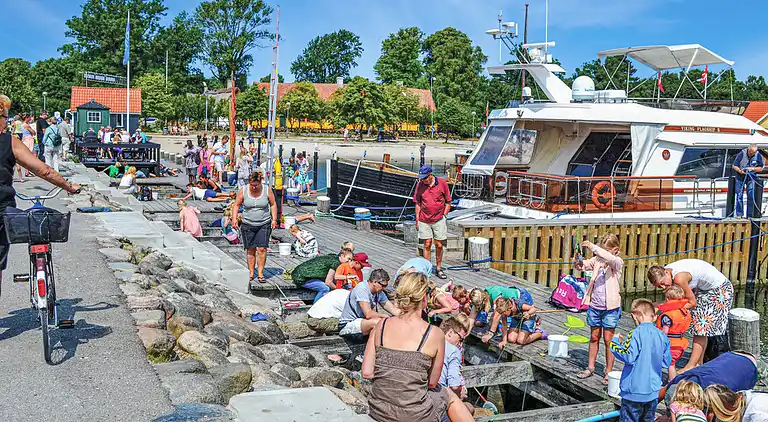 Moderne og luksuriøs ferielejlighed i Rørvig