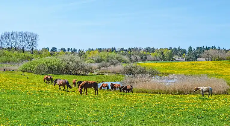 Moderne og luksuriøs ferielejlighed i Rørvig