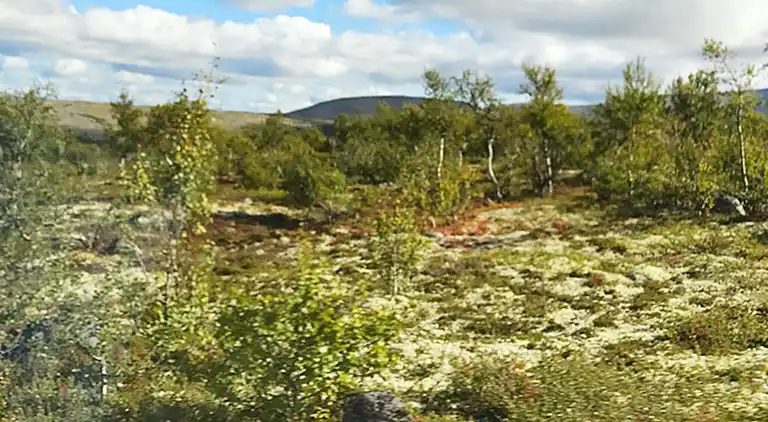 Vakantiehuis in Åkrestrømmen
