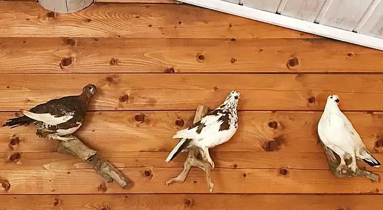 Vakantiehuis in Åkrestrømmen