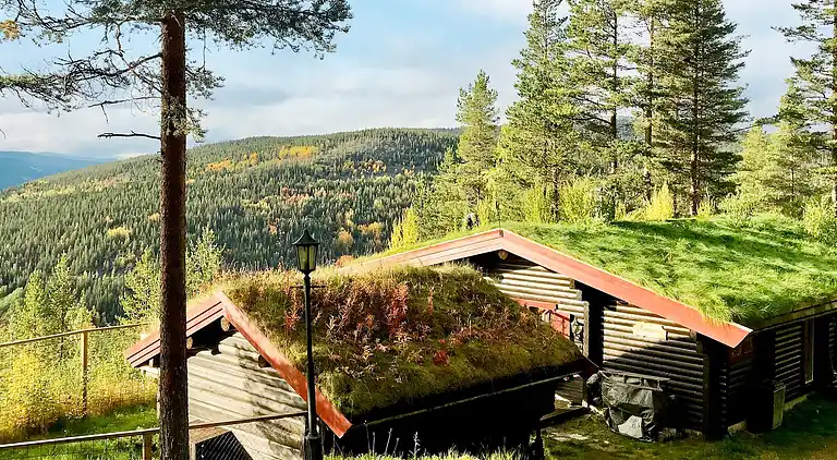 Vakantiehuis in Åkrestrømmen