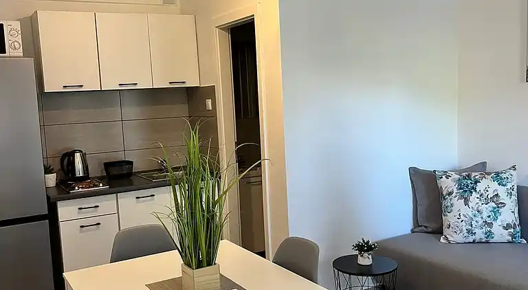 1-Zimmer-Ferienwohnung am Strand Potocnica, Pag (A-222-e)