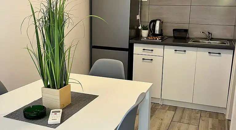 1-Zimmer-Ferienwohnung am Strand Potocnica, Pag (A-222-e)