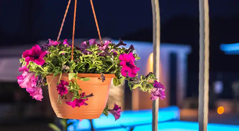 Semesterbostad i Gata