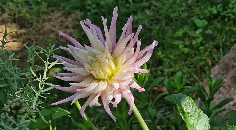 Sky Room Carrara Hydromassage mit Parkplatz