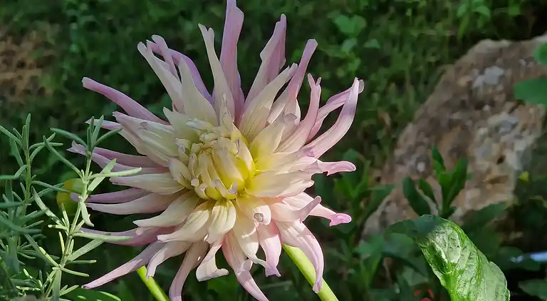 Sky Room Carrara Hydromassage mit Parkplatz