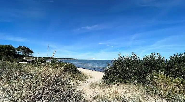 Skønt sommerhus i privat have tæt på stranden