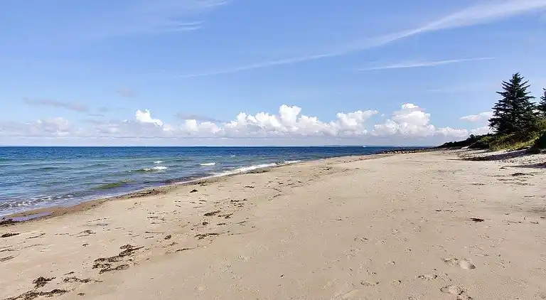 Skønt sommerhus i privat have tæt på stranden