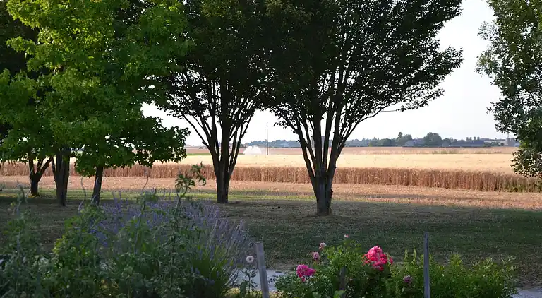 Casa de vacaciones en Oison