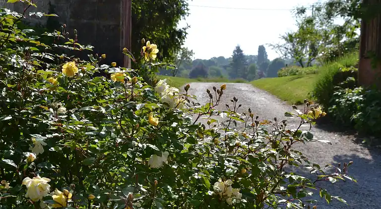 Casa de vacaciones en Oison