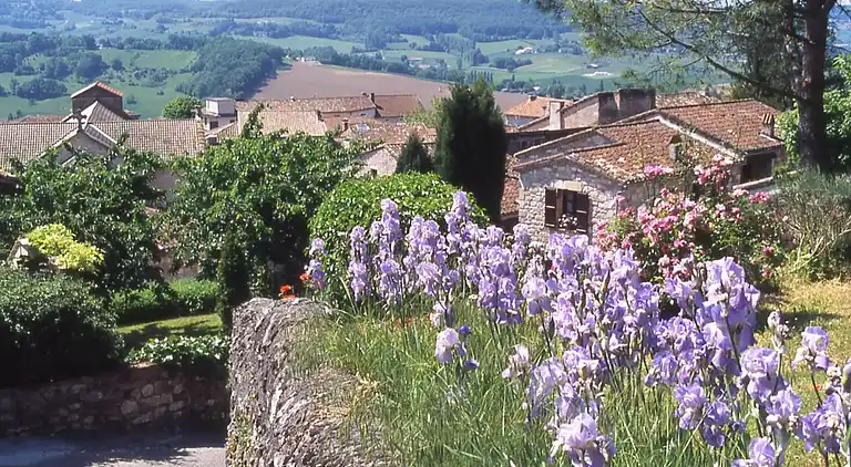 Cottage in Castelmoron-sur-Lot