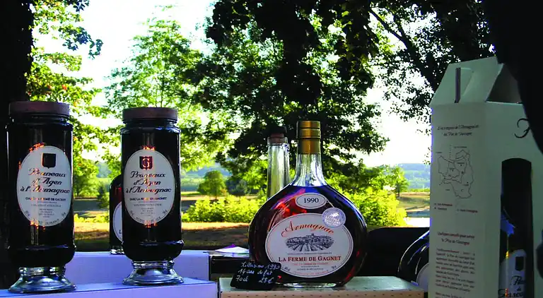 Cottage in Castelmoron-sur-Lot