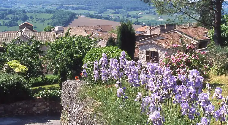 Hytte i Castelmoron-sur-Lot
