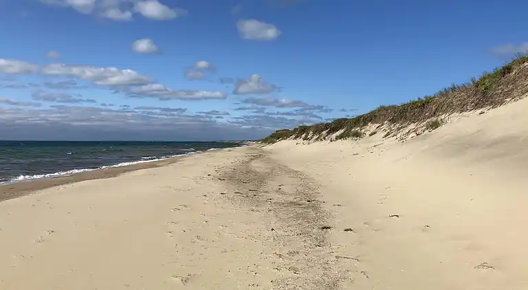 Familievenlig villa i roligt kvarter