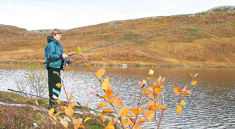 Sommerhus i Skorovatn