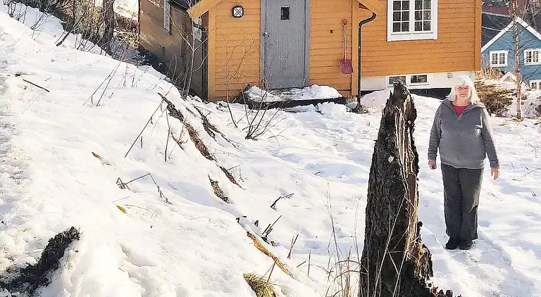 Sommerhus i Skorovatn