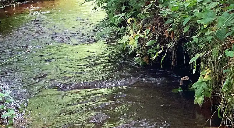 Holiday home in Ålbæk