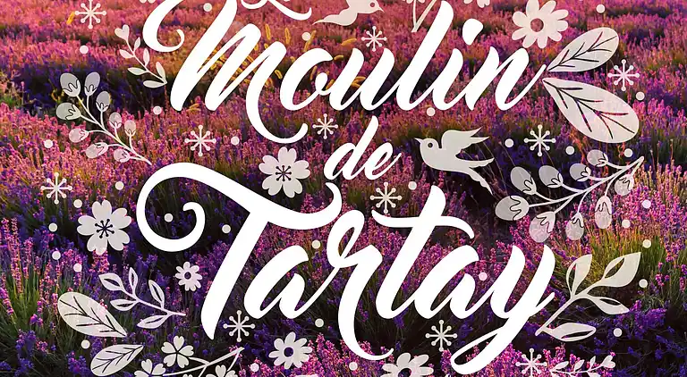 Das Haus der Moulin de Tartay in Avignon