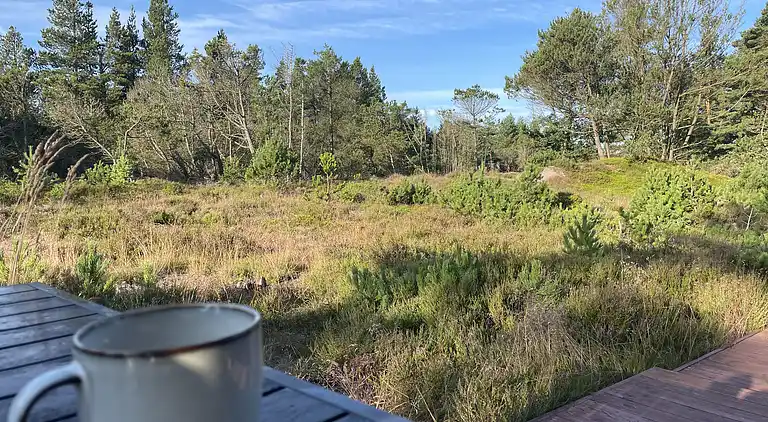 Unik beliggenhed på kæmpe solrig naturgrund 