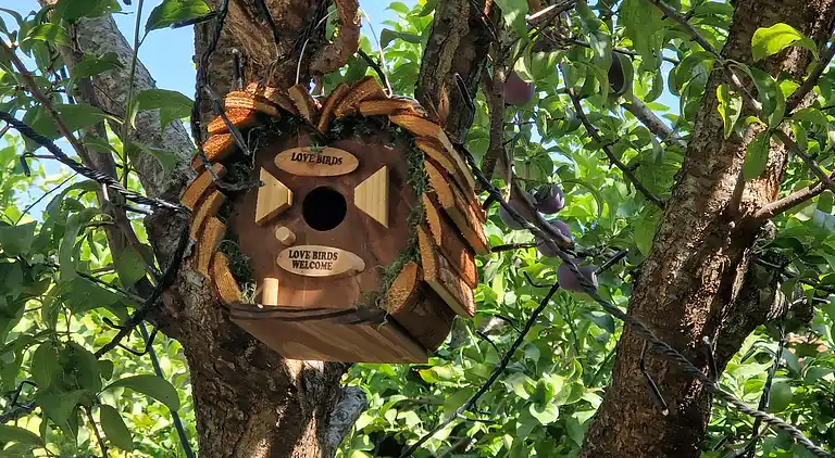 Sky Room Carrara Hydromassage mit Parkplatz