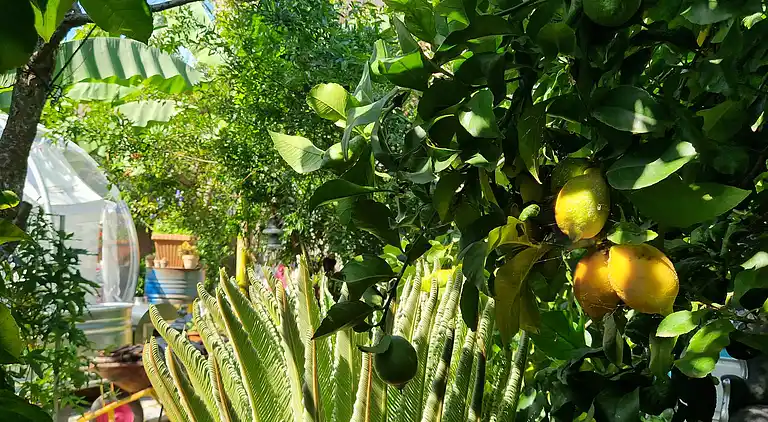 Sky Room Carrara Hydromassage mit Parkplatz