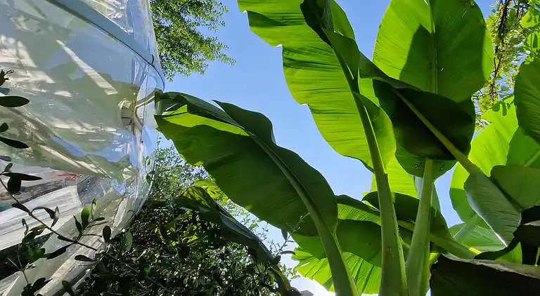 Sky Room Carrara Hydromassage mit Parkplatz